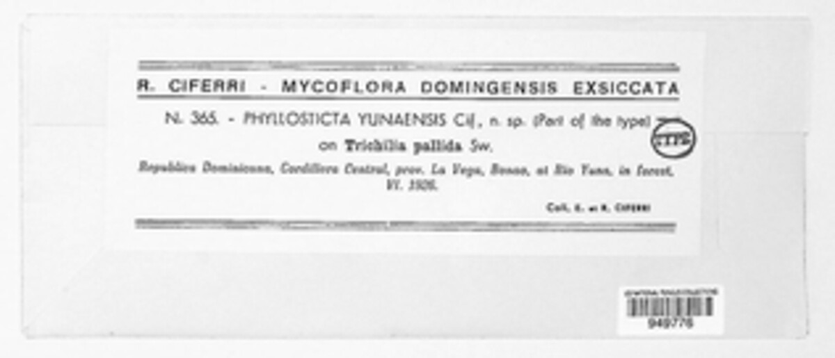 Phyllosticta yunaensis image